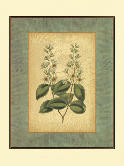 Compatible Blumen JAHRRIESNGE  for flowers-lpf06839 