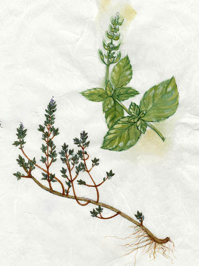 Compatible Blumen JAHRRIESNGE  for flowers-lpf06912 