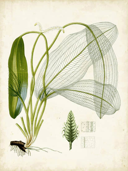 Compatible Blumen JAHRRIESNGE  for flowers-lpf06918 