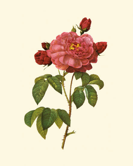 Compatible Blumen JAHRRIESNGE  for flowers-lpf06960 