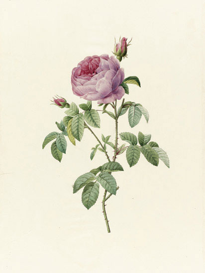 Compatible Blumen JAHRRIESNGE  for flowers-lpf07015 