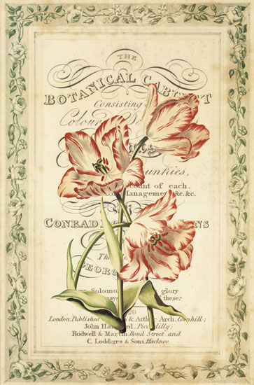 Compatible Blumen JAHRRIESNGE  for flowers-lpf07086 