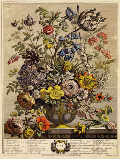 Compatible Blumen JAHRRIESNGE  for flowers-lpf07092 