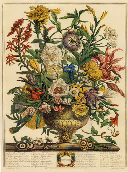 Compatible Blumen JAHRRIESNGE  for flowers-lpf07094 