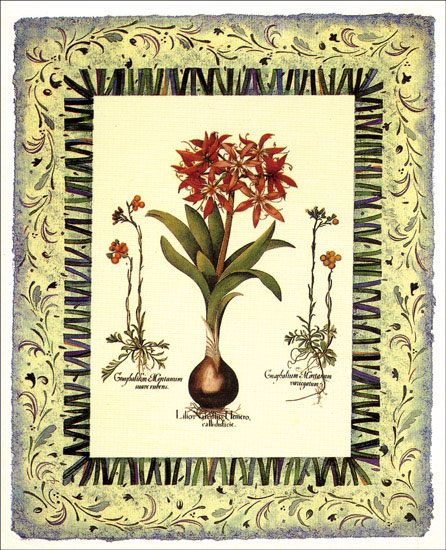 Compatible Blumen JAHRRIESNGE  for flowers-lpf07098 