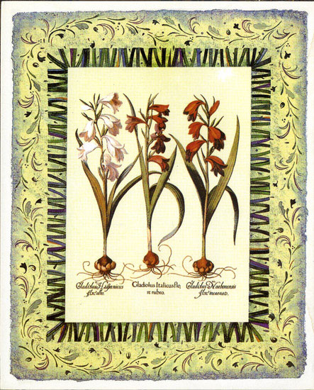 Compatible Blumen JAHRRIESNGE  for flowers-lpf07100 