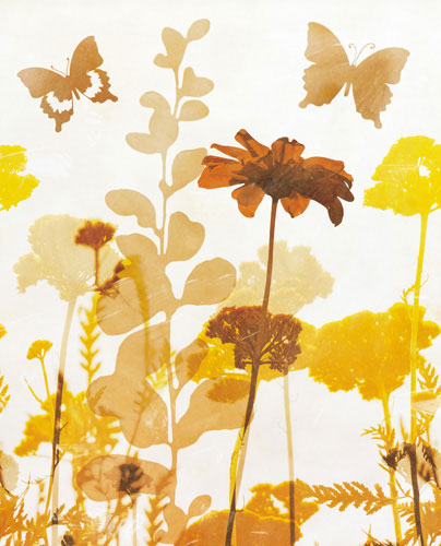 Compatible Blumen JAHRRIESNGE  for flowers-lpf07155 