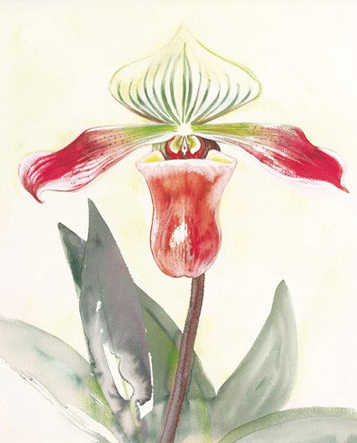 Compatible Blumen JAHRRIESNGE  for flowers-lpf07173 