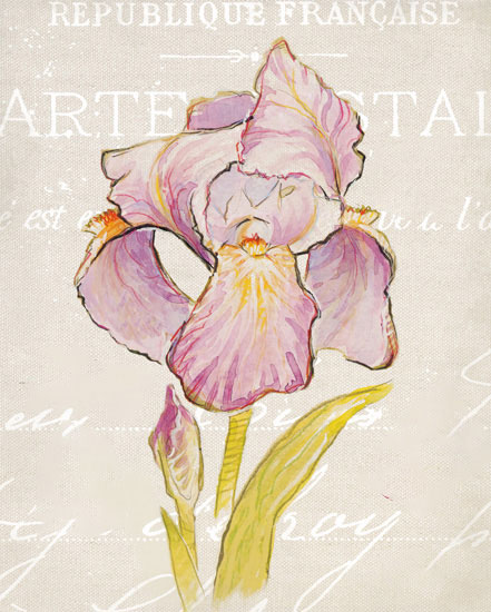 Compatible Blumen JAHRRIESNGE  for flowers-lpf07178 