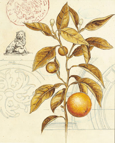 Compatible Blumen JAHRRIESNGE  for flowers-lpf07185 