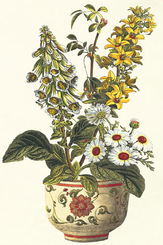 Compatible Blumen JAHRRIESNGE  for flowers-lpf07236 