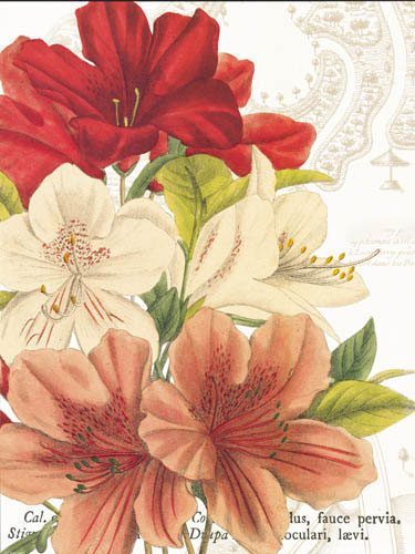 Compatible Blumen JAHRRIESNGE  for flowers-lpf07280 