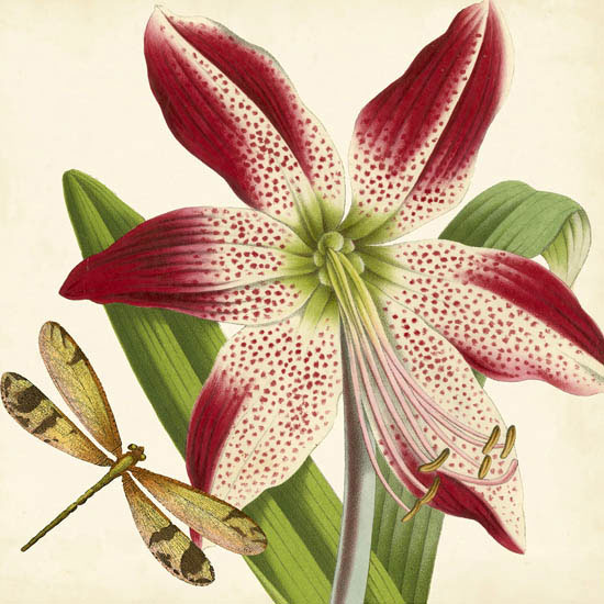 Compatible Blumen JAHRRIESNGE  for flowers-lpf07412 