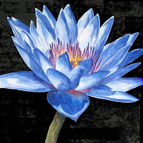 Compatible Blumen JAHRRIESNGE  for flowers-lpf07520 