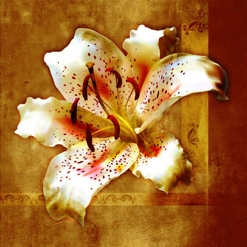 Compatible Blumen JAHRRIESNGE  for flowers-lpf07548 