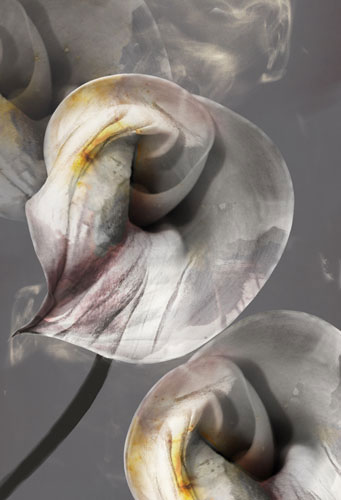 Compatible Blumen JAHRRIESNGE  for flowers-lpf07619 