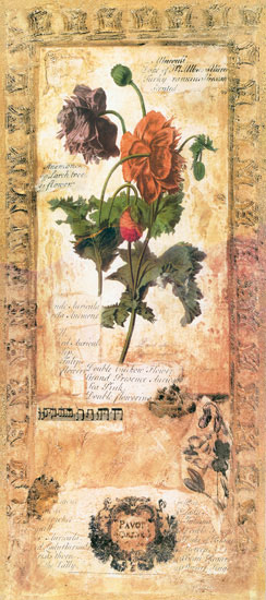 Compatible Blumen JAHRRIESNGE  for flowers lpf07724 