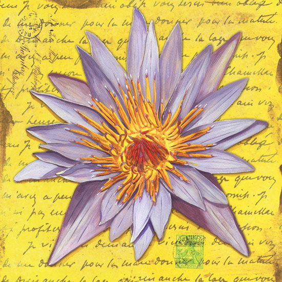 Compatible Blumen JAHRRIESNGE  for flowers lpf08063 