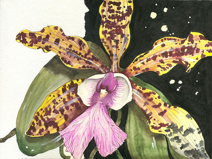 Compatible Blumen JAHRRIESNGE  for flowers lpf08145 