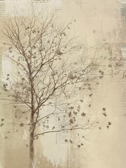 Compatible Landschaft JAHRRIESNGE  for trees lpf08369 