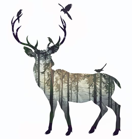 Compatible Tiere Jahrriesnge  for deer lpf08601 