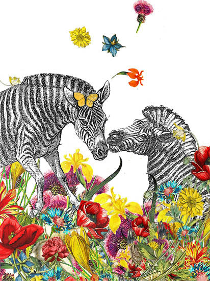 Compatible Tiere Jahrriesnge  for zebra lpf08637 