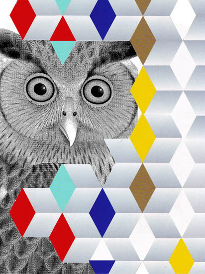 Compatible Tiere Jahrriesnge  for owl lpf08644 