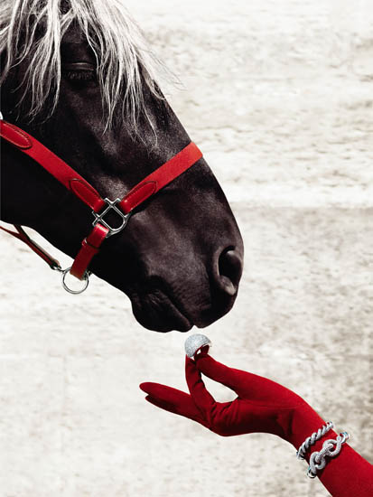 Compatible Tiere Jahrriesnge  for horse lpf08645 