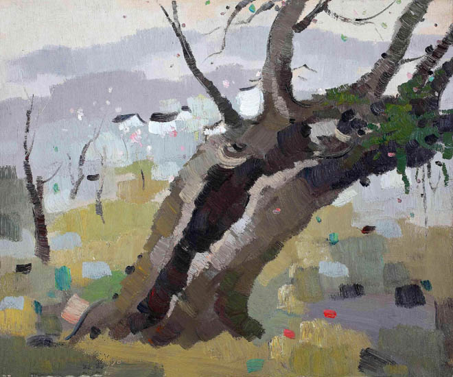 Compatible Landschaft JAHRRIESNGE  for trees lpf09222 