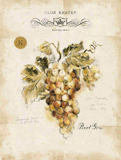 Compatible Blumen JAHRRIESNGE  for grapes lpf09658 