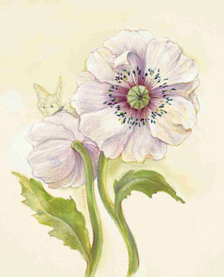 Compatible Blumen JAHRRIESNGE  for flowers lpf09686 