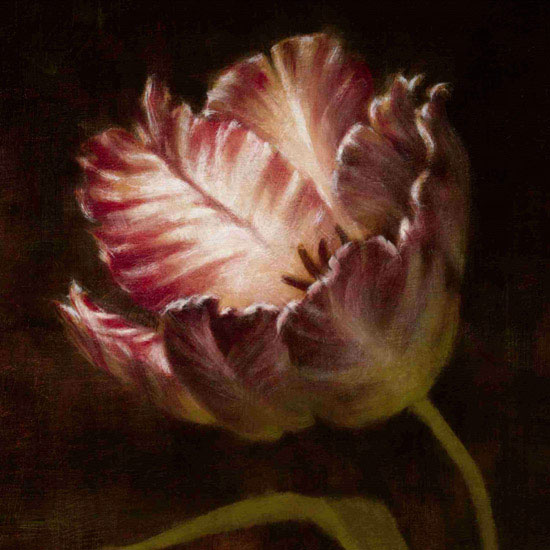 Compatible Blumen JAHRRIESNGE  for flowers lpf09817 