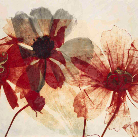 Compatible Blumen JAHRRIESNGE  for flowers lpf09869 