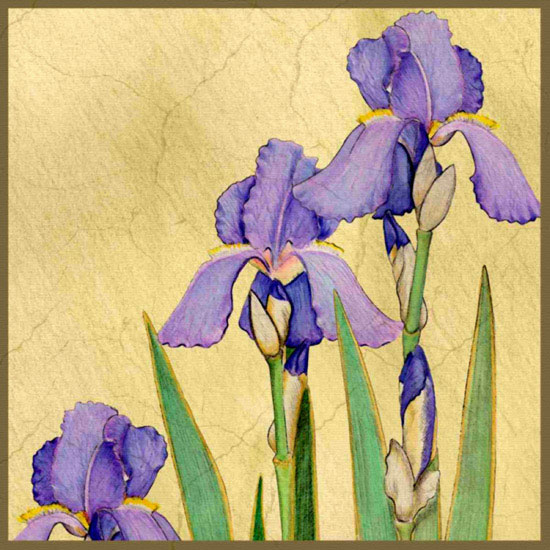 Compatible Blumen JAHRRIESNGE  for flowers lpf10045 