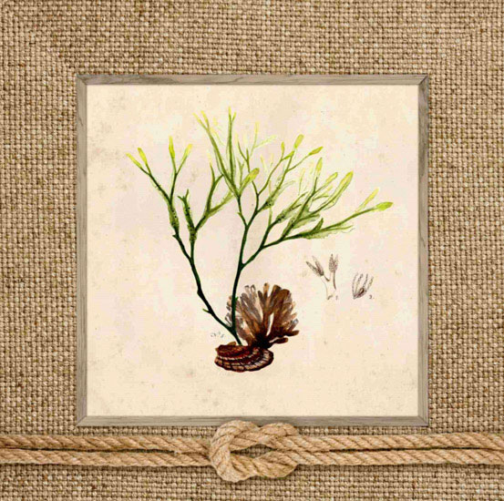 Compatible Blumen JAHRRIESNGE  for flowers lpf10167 