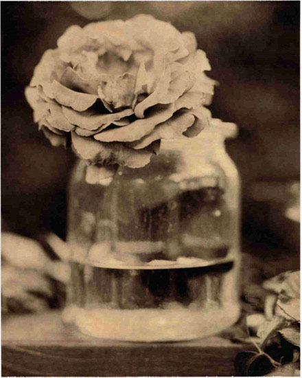 Compatible Blumen JAHRRIESNGE  for flowers lpf10222 