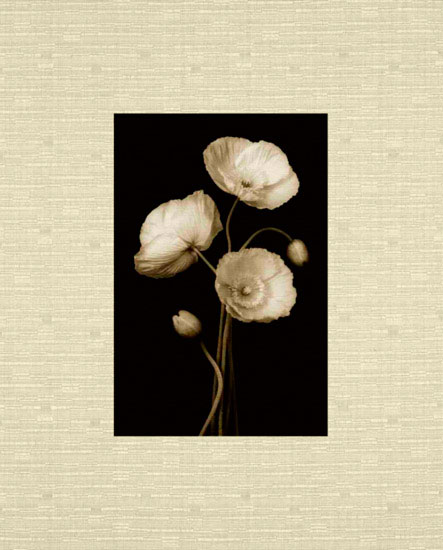 Compatible Blumen JAHRRIESNGE  for flowers lpf10224 