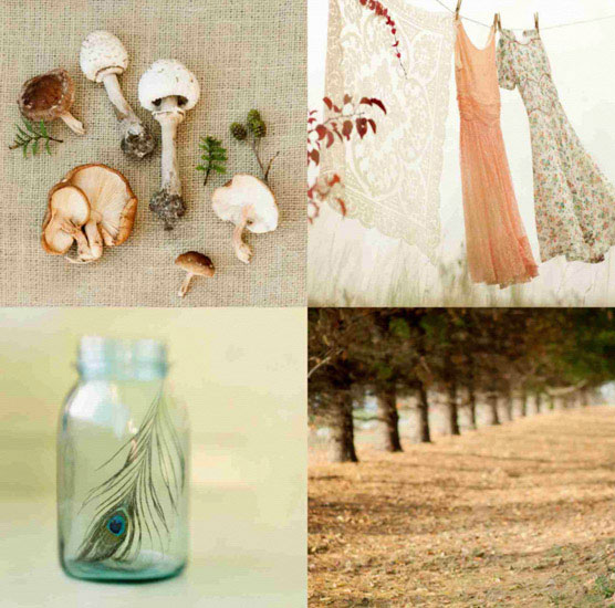 Compatible Porträt Jahrriesnge  for mushroom lpf10493 