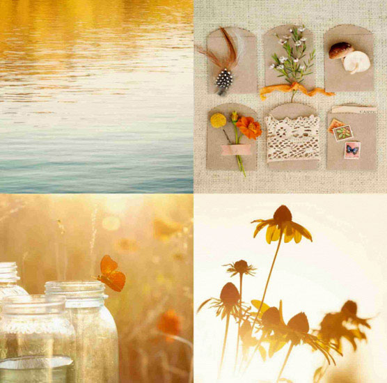 Compatible Porträt Jahrriesnge  for butterfly lpf10495 