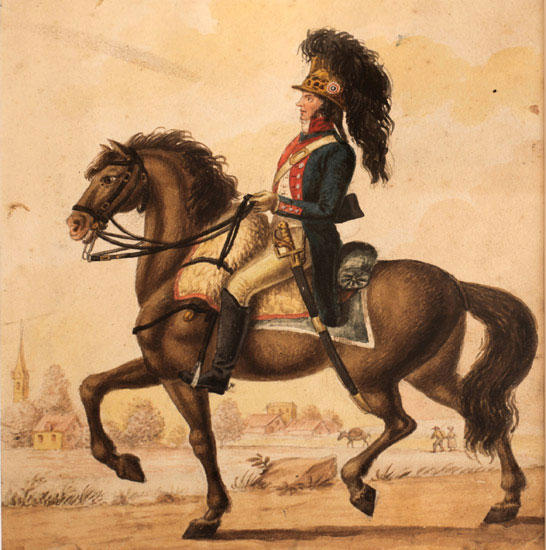 Compatible Porträt Jahrriesnge  for horse riding lpf10516 