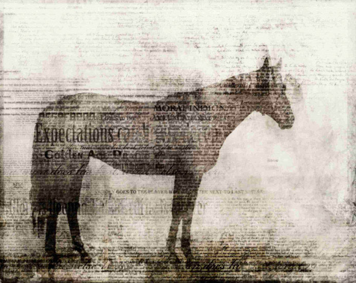 Compatible Tiere Jahrriesnge  for horse lpf10527 