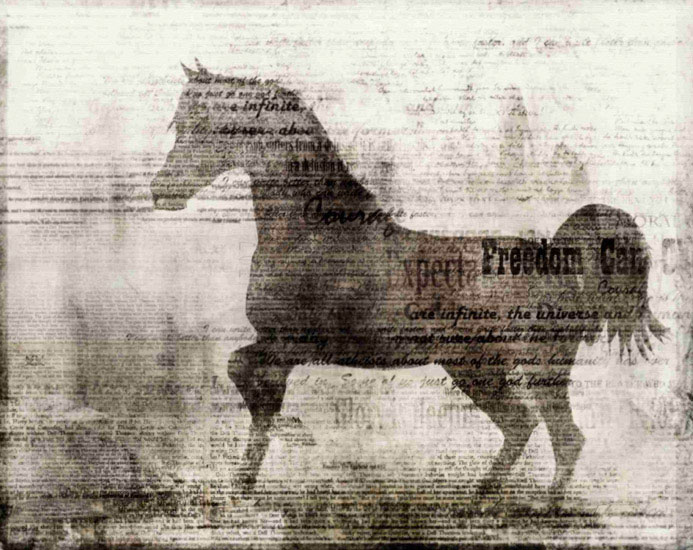 Compatible Tiere Jahrriesnge  for horse lpf10528 