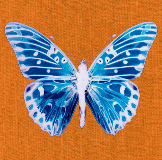 Compatible Tiere Jahrriesnge  for butterfly lpf10548 