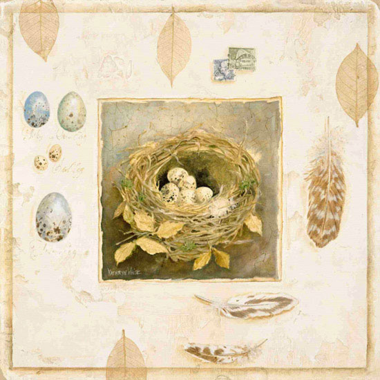 Compatible Tiere Jahrriesnge  for eggs lpf10576 