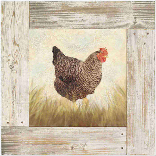 Compatible Tiere Jahrriesnge  for hen lpf10585 