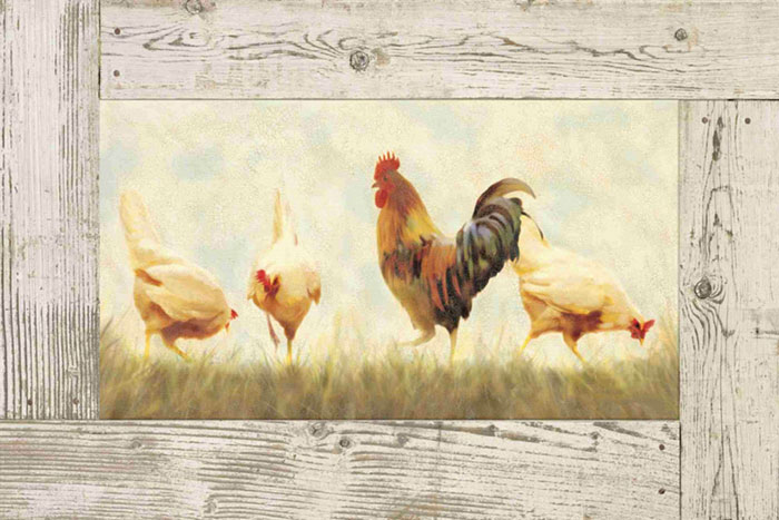 Compatible Tiere Jahrriesnge  for cock and hen lpf10587 