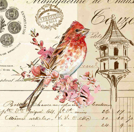 Compatible Tiere Jahrriesnge  for bird lpf10592 