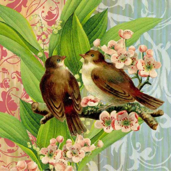 Compatible Tiere Jahrriesnge  for birds lpf10605 