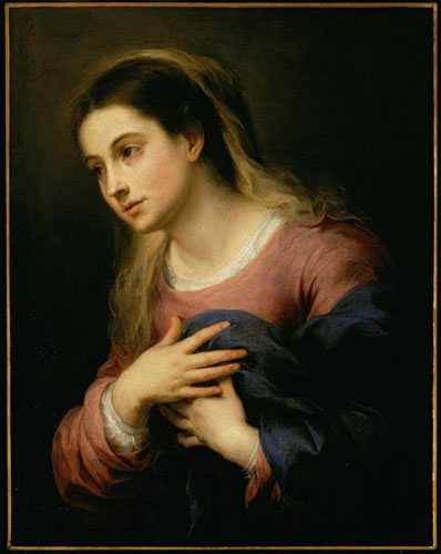 Compatible Porträt Jahrriesnge  for noble lpf11284 