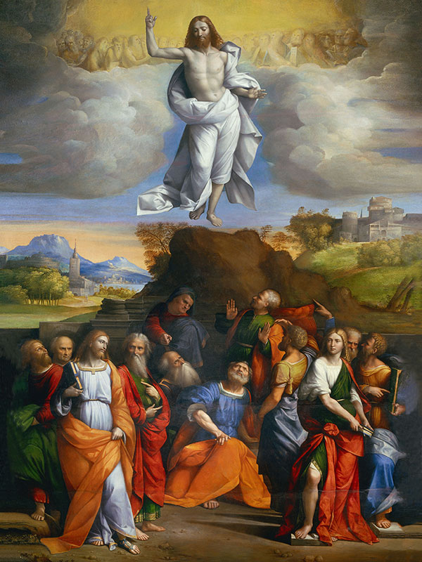 Compatible Porträt Jahrriesnge  for untitle lpg2279 